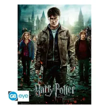 Постер GB Eye: Maxi: Wizarding World: Harry Potter: Harry Potter and the Deathly Hallows: Part 2: Movie Poster, (451653)
