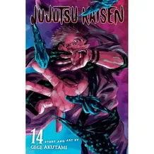 Манґа Jujutsu Kaisen. The Shibuya Incident. Right and Wrong. Volume 14, (725328)