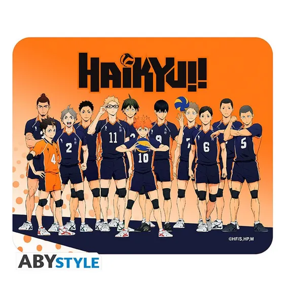 Коврик для мыши ABYstyle: Haikyu!!: Karasuno Team, (130581)