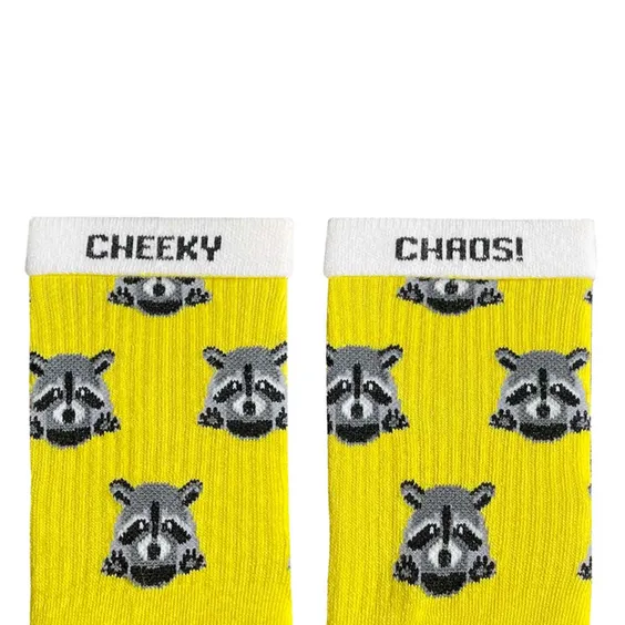 Носки Noskar: Єноти: «Cheeky Chaos» (р. 36-40), (91403) 2