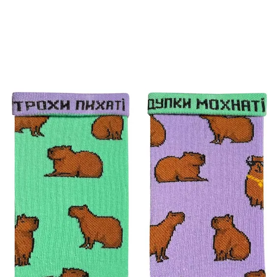 Шкарпетки Noskar: Капібара з цепурою: «Трохи Пихаті / Дупки Мохнаті» (р. 41-46), (91620) 2