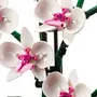 Конструктор LEGO: Icons: Botanical Collection: Orchid, (110311) 4