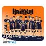 Коврик для мыши ABYstyle: Haikyu!!: Karasuno Team, (130581)