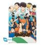 Постер GB Eye: Maxi: Haikyu!!: Karasuno High vs. Aoba Johsai High, (1317)