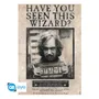 Постер GB Eye: Maxi: Wizarding World: Harry Potter: Sirius Black: «Have You Seen This Wizard?», (234289)