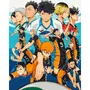 Картина за номерами Kartiny Origami: Haikyuu!!: Karasuno High vs. Aoba Johsai High, (3280)