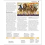Артбук The Marvel Book, (357651) 3