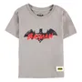 Футболка Difuzed: DC: Batman (146-152), (360455)