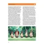 Артбук Ghibliotheque. Unofficial Guide to the Movies of Studio Ghibli, (396654) 8