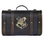 Подарочный комплект Pyramid International: Wizarding World: Harry Potter: Trouble Finds Me (Premium), (55363) 3