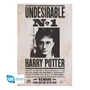 Постер GB Eye: Maxi: Wizarding World: Harry Potter: «Undesirable №1», (65173)