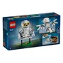 Конструктор LEGO: Wizarding World: Harry Potter: Hedwig at 4 Privet Drive, (76425) 8