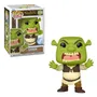 Фигурка Funko POP!: Movies: Shrek: Shrek (Special Edition), (81959)