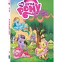 Комікс My Little Pony. Дружба - це магія. Книга 1, (885268)