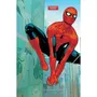 Комикс Marvel. Friendly Neighborhood Spider-Man. Mother of Exiles. Part 1. Volume 2. #1, (920636) 3