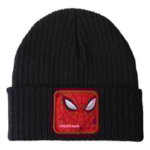 Шапка Marvel: Spider-Man (Black), (129181)