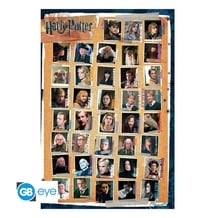 Постер GB Eye: Maxi: Wizarding World: Harry Potter: Characters, (430955)