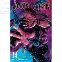 Манґа Jujutsu Kaisen. The Shibuya Incident. Right and Wrong. Volume 14, (725328)