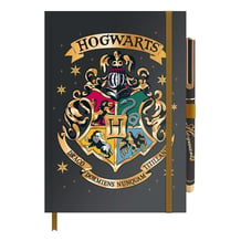 Блокнот Erik: Wizarding World: Harry Potter: Hogwarts: Houses: Crest: «Draco Dormiens Nunquam Titillandus», (803850)