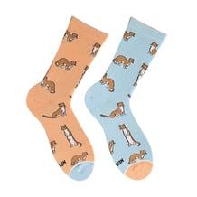 Носки Noskar: Ласка: «Pawsome» (р. 36-40), (91407)