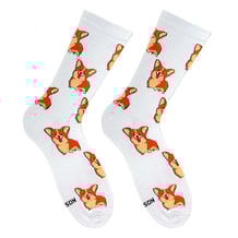 Шкарпетки Noskar: Коргі: «Живу Радію» (р. 36-40), (91453)