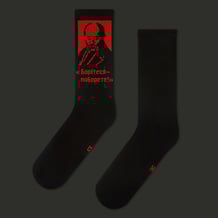 Шкарпетки CEH: Тарас Шевченко: «Борітеся - поборете!» (р. 35-39), (91538)