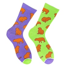 Носки Noskar: Капібари: «Serenity Sensei» (р. 41-46), (91546)