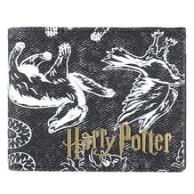 Гаманець Warner: Harry Potter Bifold Wallet, (566828)