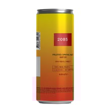 Напій 2085 Brewery: Fruited Sparkling Water: Fantastic Fruit, (210394)