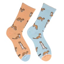 Шкарпетки Noskar: Ласка: «Pawsome» (р. 41-46), (91408)