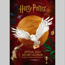 Календарь Danilo Calendar (2022): HARRY POTTER, (122143)