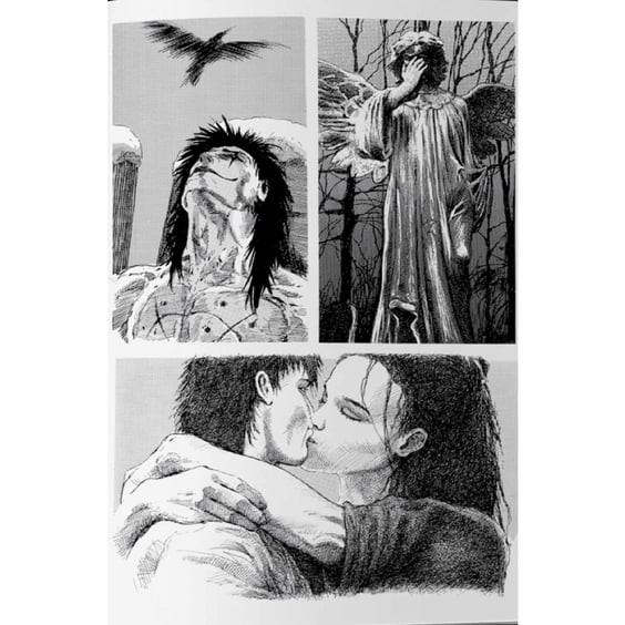 Комікс Ворон. Спеціальне видання, (760017) 13