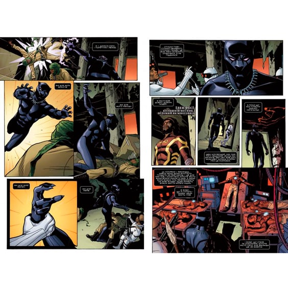 Комікс Чорна Пантера. Народ у нас під ногами. Книга 2, (175649) 3