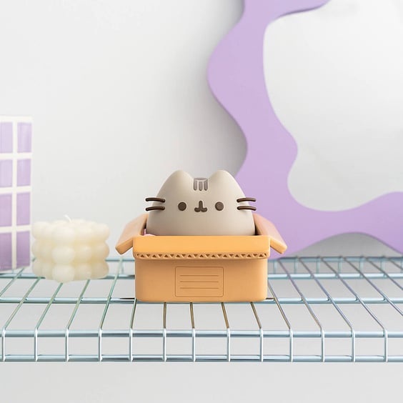 Копилка Erik: Pusheen: Pusheen in Box, (293727) 5
