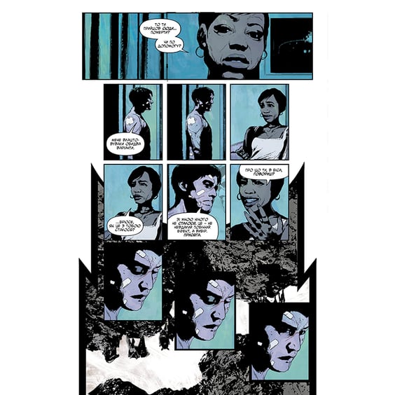 Комикс Бетмен. Самозванець, (373238) 13