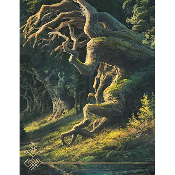 Книга Мавка. Лісова пісня, (510848) 4