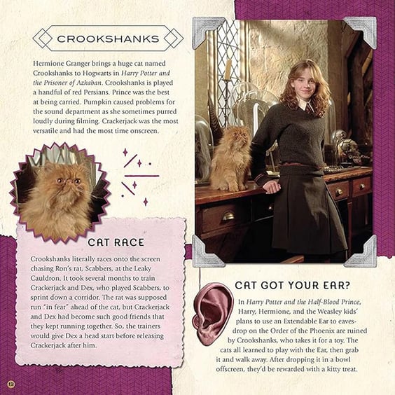 Артбук Harry Potter. Magical Creatures. A Movie Scrapbook, (644299) 4