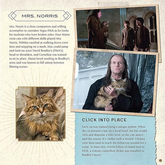 Артбук Harry Potter. Magical Creatures. A Movie Scrapbook, (644299) 5