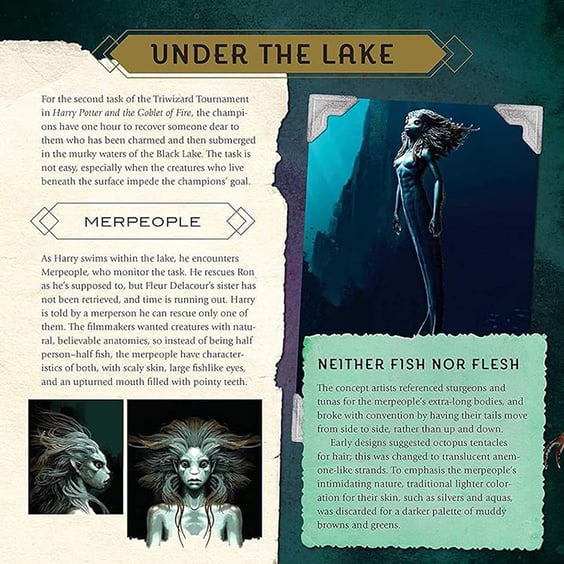 Артбук Harry Potter. Magical Creatures. A Movie Scrapbook, (644299) 6