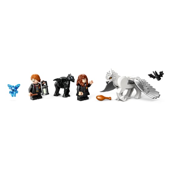 Конструктор LEGO: Wizarding World: Harry Potter: Hogwarts: Forbidden Forest: Magical Creatures, (76432) 4