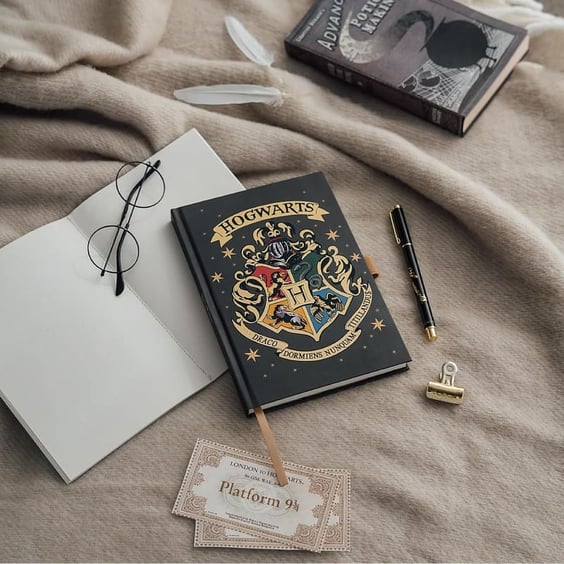 Блокнот Erik: Wizarding World: Harry Potter: Hogwarts: Houses: Crest: «Draco Dormiens Nunquam Titillandus», (803850) 7