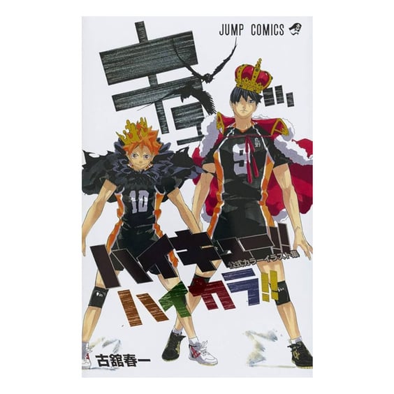 Артбук Haikyuu!!. Color Illustrations (Japanese Edition), (814896)