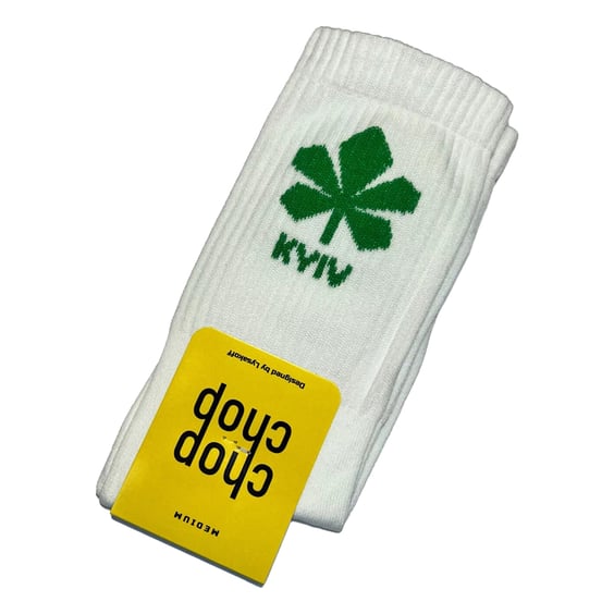 Шкарпетки Chop-Chop: «Kyiv» (зелені) (р. 40-45), (91173) 2