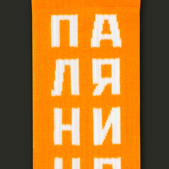 Шкарпетки CEH: «Паляниця / Полуниця» (р. 35-39), (91190) 2