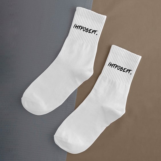 Шкарпетки Chop-Chop: «Інтроверт.» (р. 40-45), (91309)