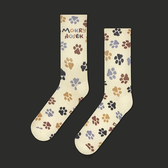 Носки CEH: «Mokry Nosek» (р. 35-39), (91376)