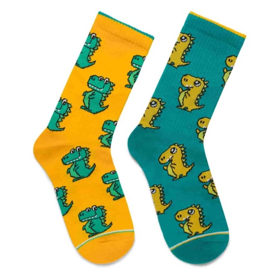 Шкарпетки Noskar: Draco: «ARRR!» (р. 41-45), (91417)