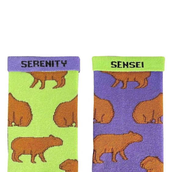 Носки Noskar: Капібари: «Serenity Sensei» (р. 36-40), (91531) 2