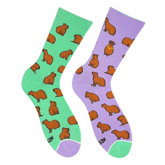 Шкарпетки Noskar: Капібара з цепурою: «Трохи Пихаті / Дупки Мохнаті» (р. 41-46), (91620)