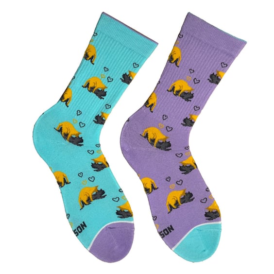 Шкарпетки Noskar: Котики-коханці: «Муркочу / Мурхочу» (р. 36-40), (91621)